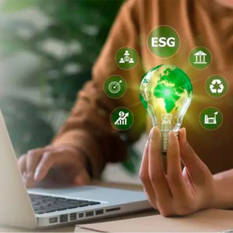 Consultoria e Assessoria Ambiental