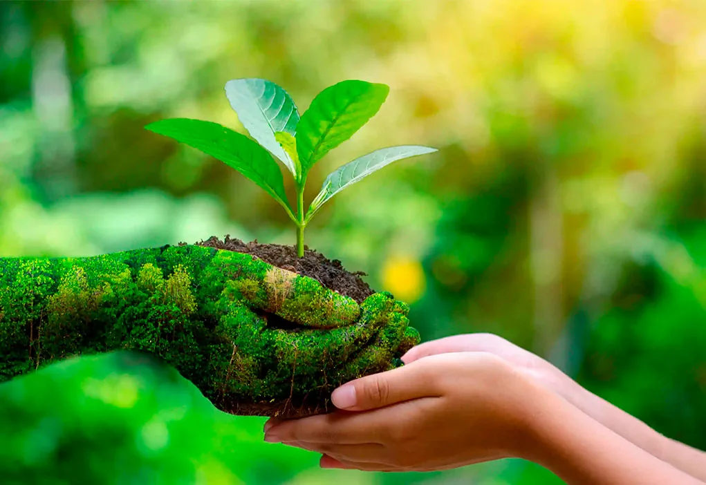 Compromisso com a preservação do meio ambiente